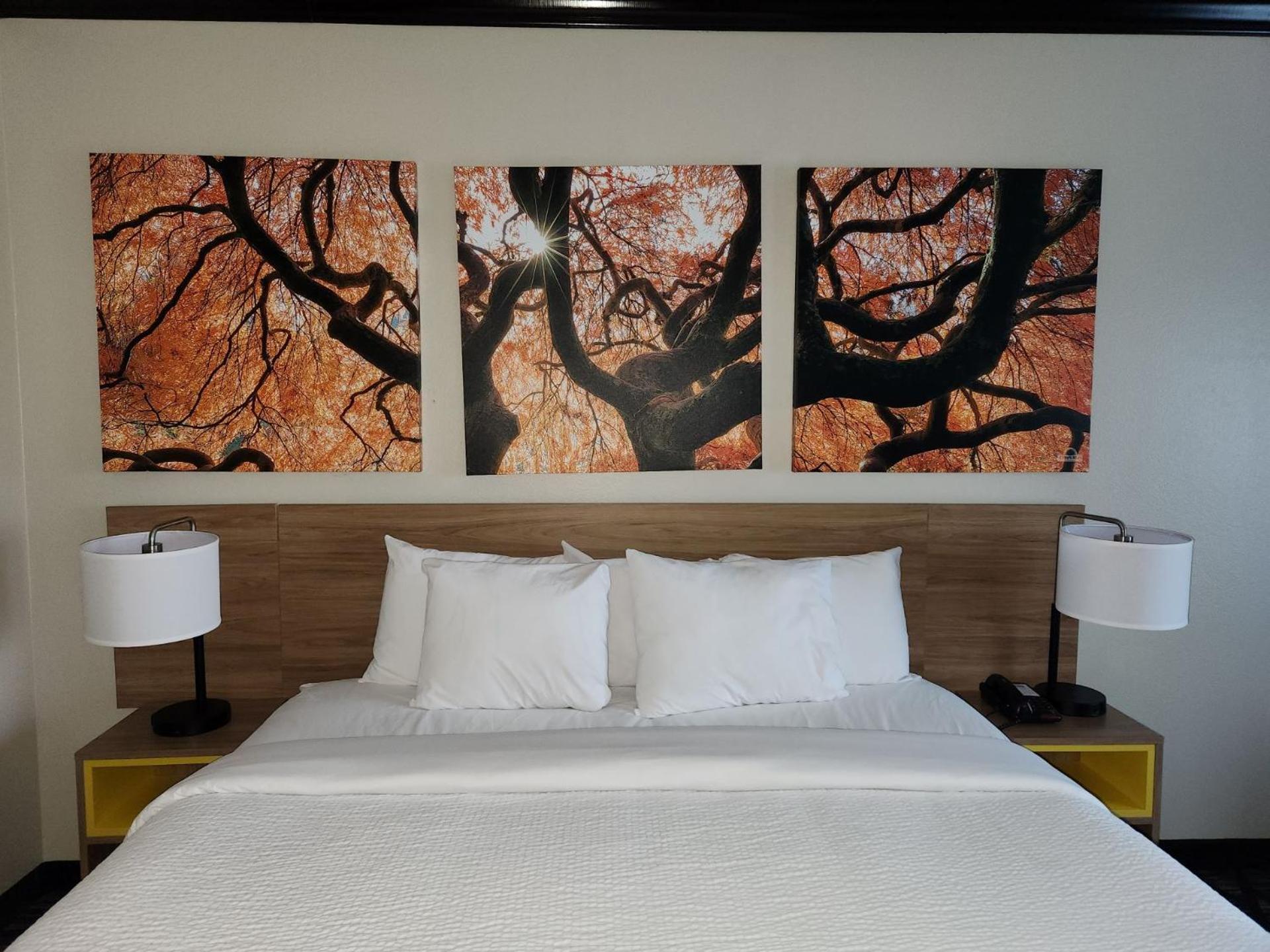 Days By Wyndham Baton Rouge I-10 Hotel Prairieville