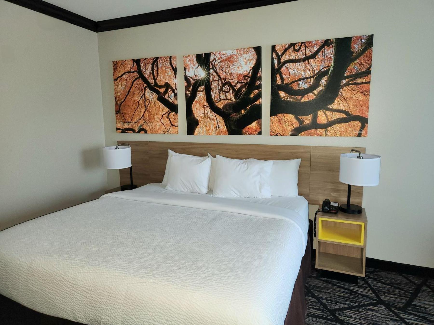 Days By Wyndham Baton Rouge I-10 Hotel